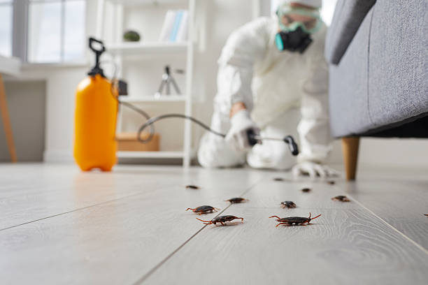 Commercial Kitchen Cockroach Control in Valley Mills